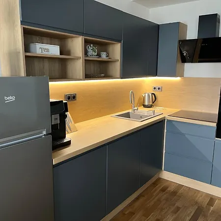 Rezidence U Vankovky Apartment *